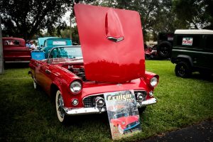 1955 Ford Thunderbird